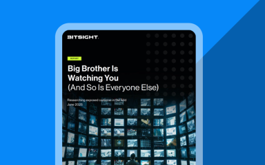 Big Brother Is Watching You And So Is Everyone Else