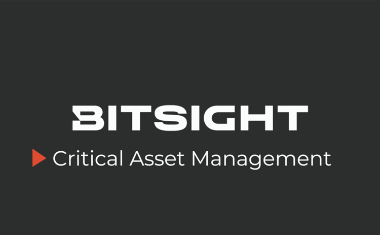 Critical Asset Management