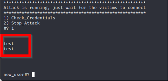 Figure 8. Example of captured user credentials entered on our phishing page.