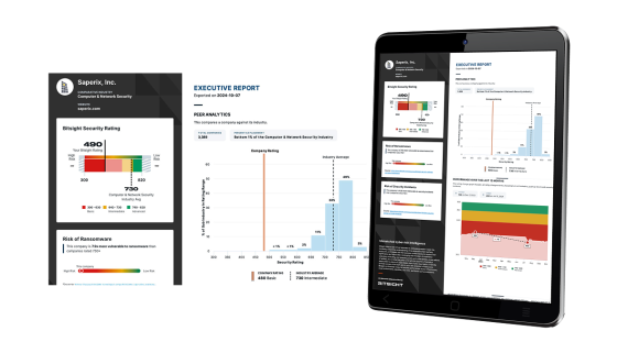Bitsight Cyber Risk Benchmark report