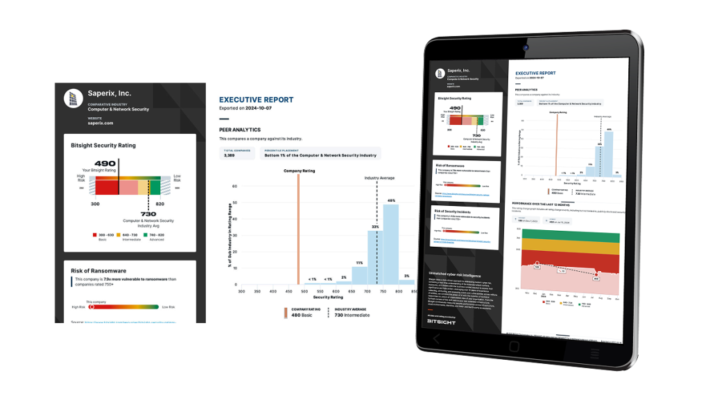 Bitsight Cyber Risk Benchmark report