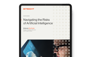 White Paper - Navigating the Risks of AI
